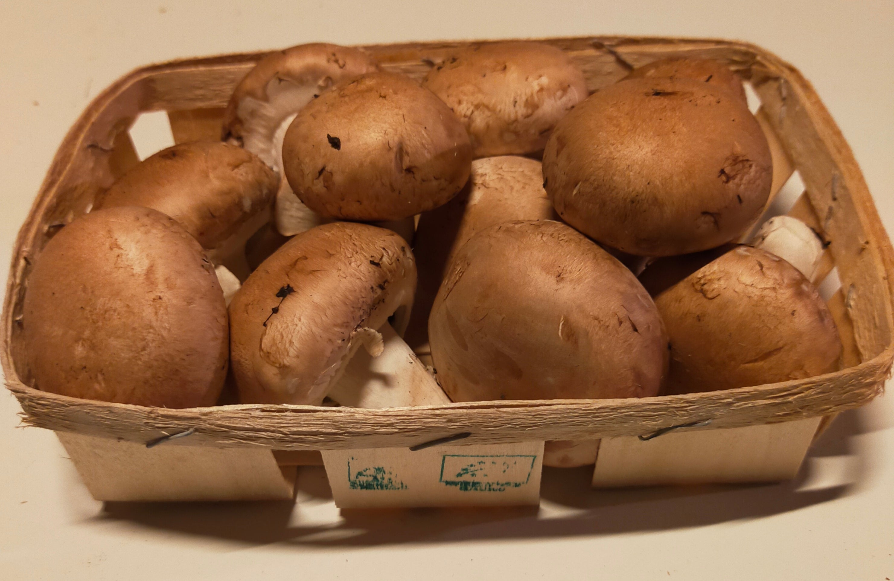 Barquette de gros champignons brun frais bio - 250g