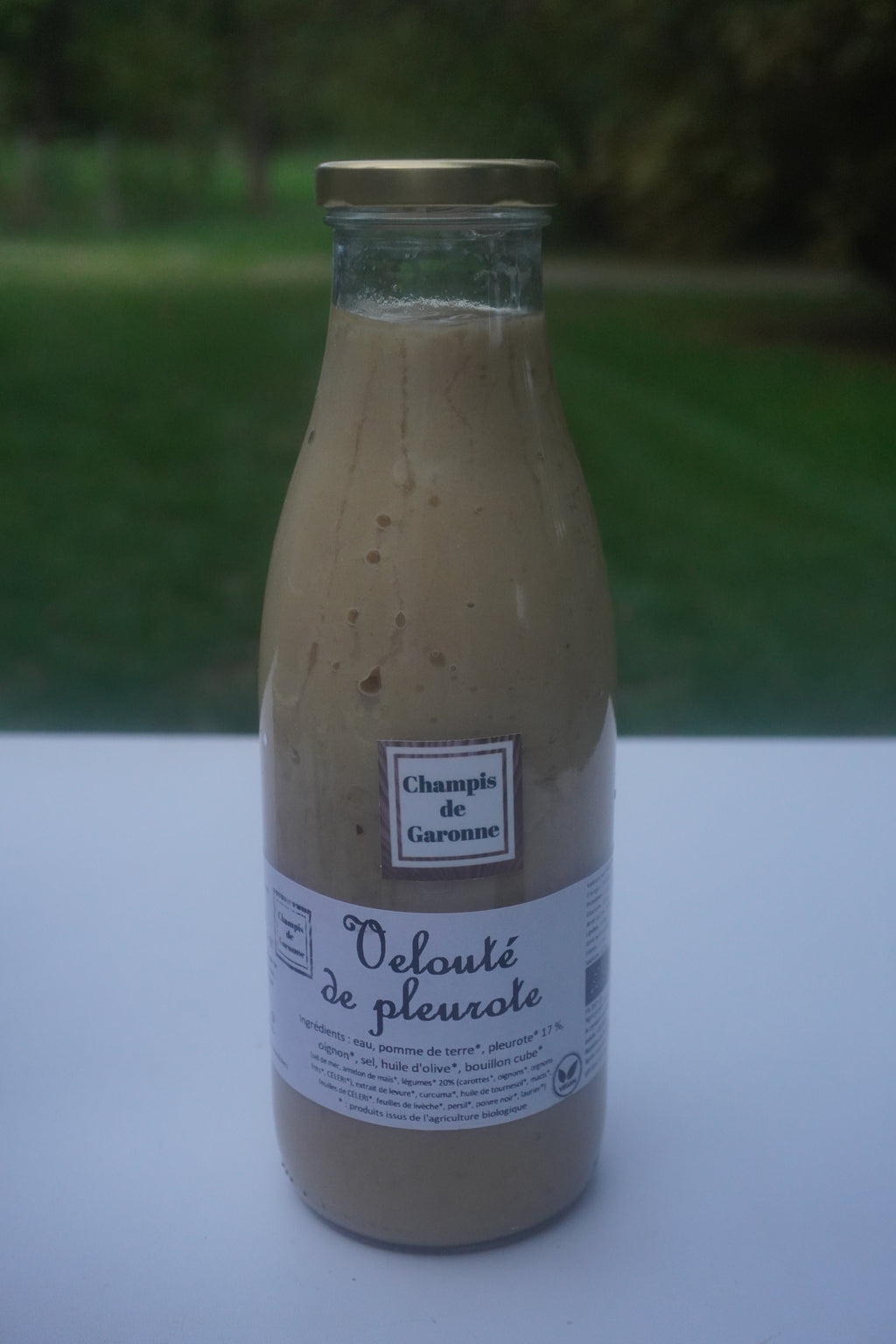 Veloute de pleurote bio