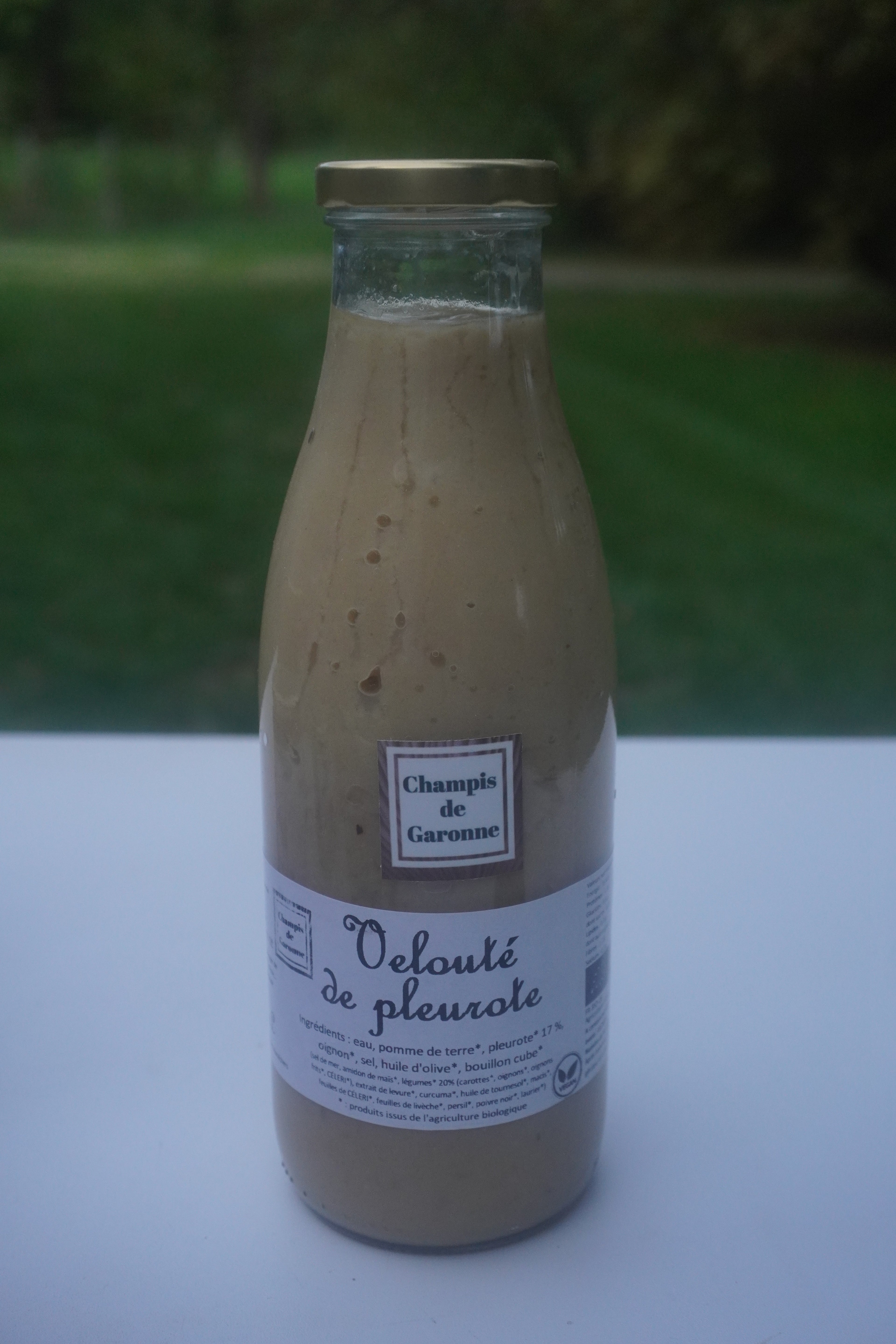 Veloute de pleurote bio