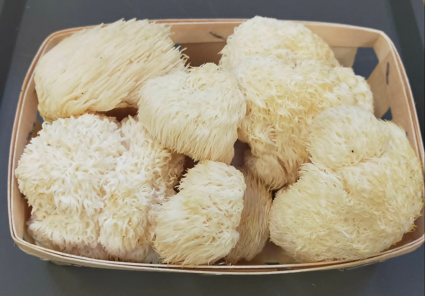 Lion's mane frais bio - 250g